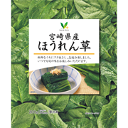 宮崎県産ほうれん草