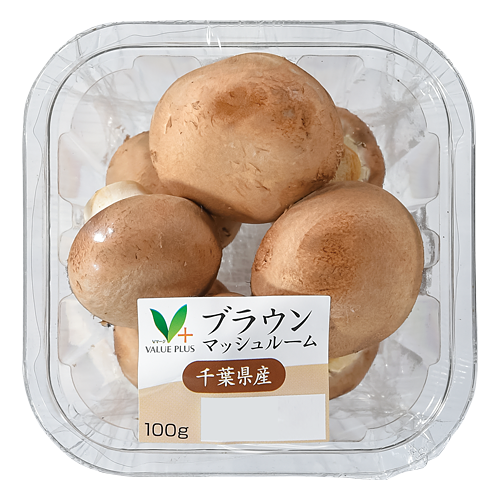 マッシュルーム マッシュルームスツール – 商品カタログ